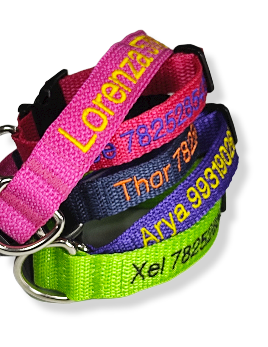 Collar Cinta Perro