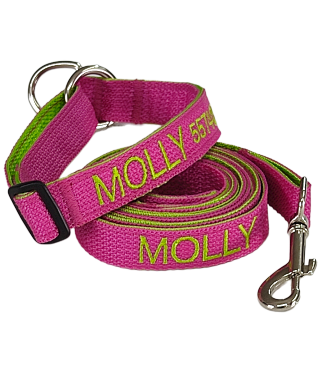 KIT Forzza Perro - Collar + Correa + Envío de Regalo