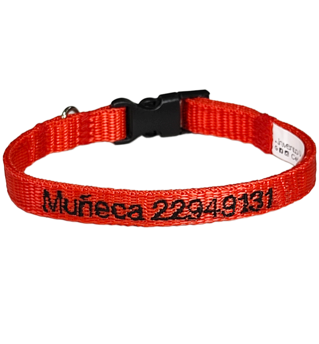 Collar Cinta Mini Perro