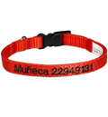 Collar Cinta Mini Perro