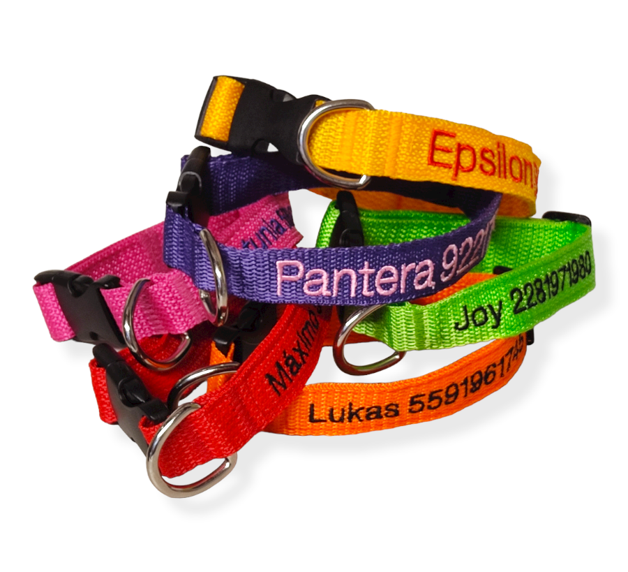 Collar Cinta Perro