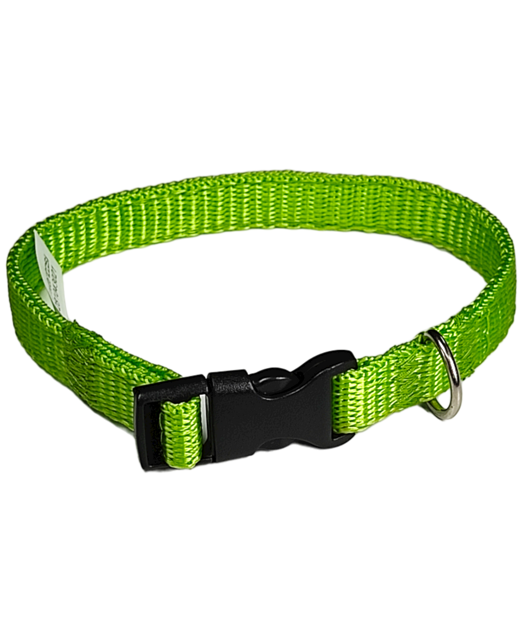 Collar Cinta Mini Perro