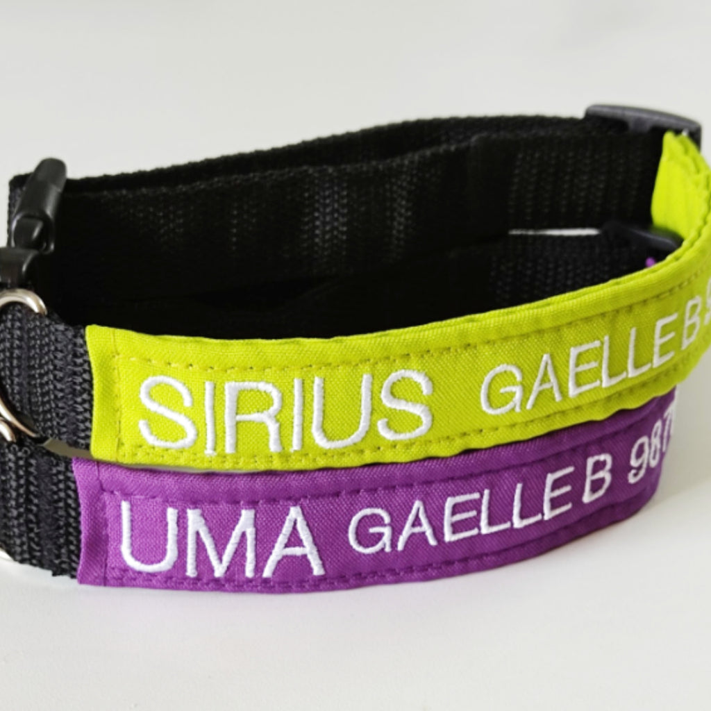 Collar Tela Perro