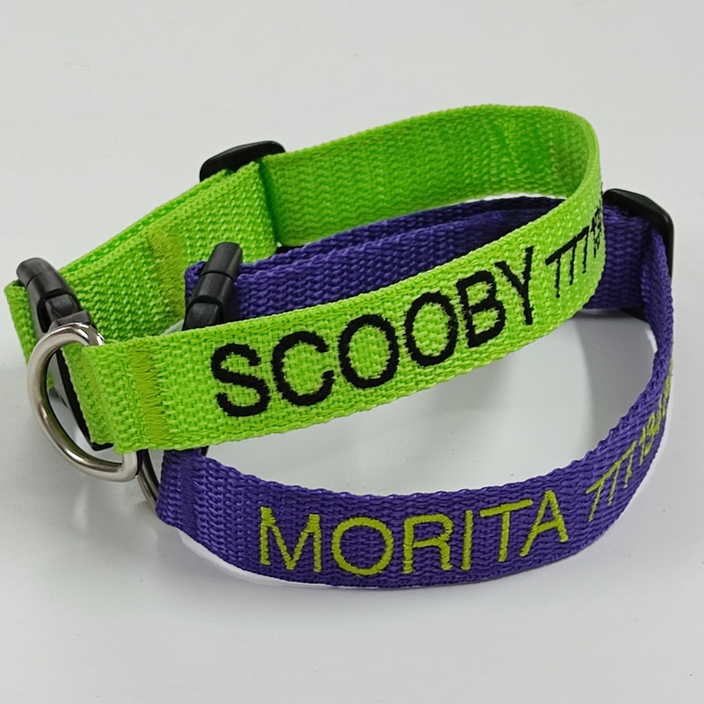 Collar Identificador de Cinta (Perros)