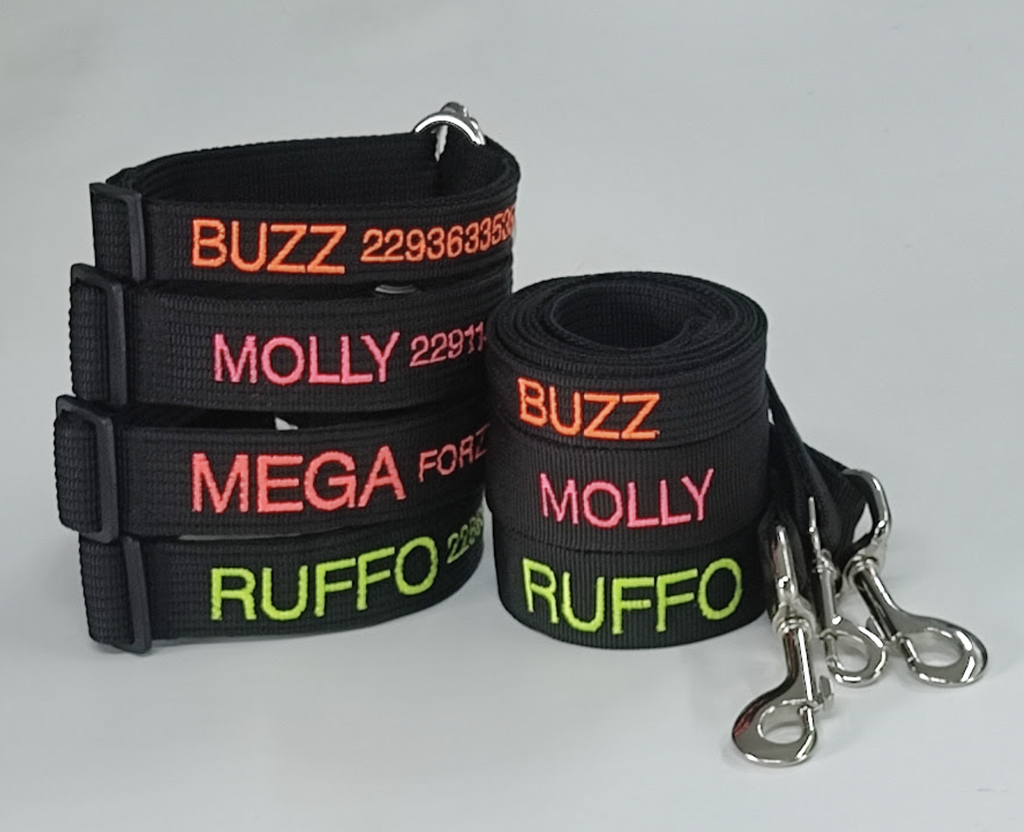 KIT Paseo MEGA Forzza (Perros)