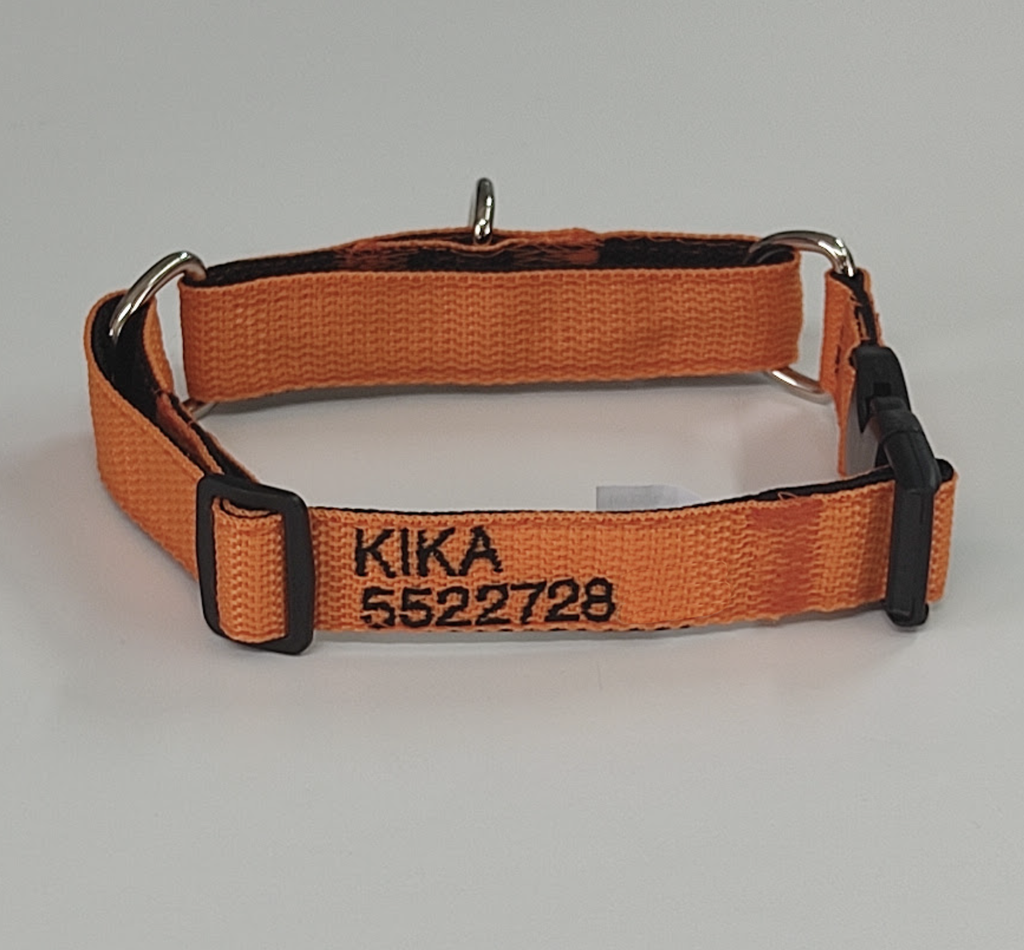 Collar Entrenamiento Martingale (Perros)